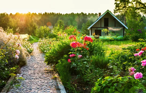 Picture summer, the sun, sunset, flowers, house, track