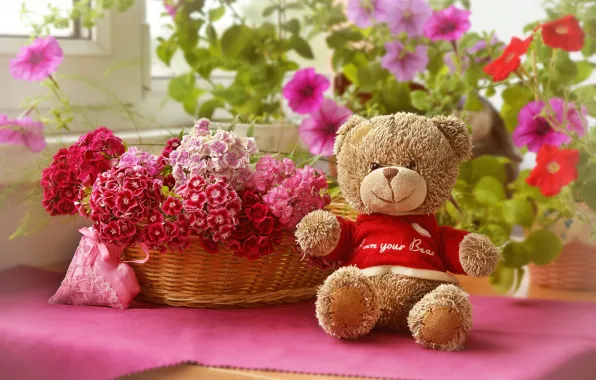 Flowers, basket, toy, bear, plush