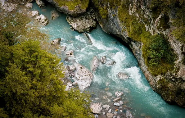 Picture forest, trees, landscape, mountains, nature, river, stones, rocks