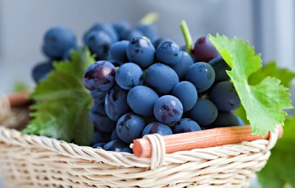Picture leaves, berries, basket, grapes, basket, bunches