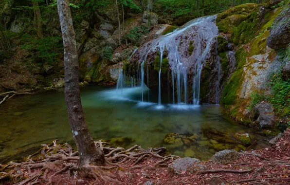 Roots, river, tree, waterfall, Russia, Crimea, The Gorge Haphal, Waterfall Jur-Jur