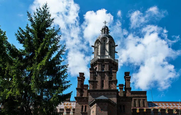 The sky, clouds, trees, tower, home, Ukraine, Chernivtsi