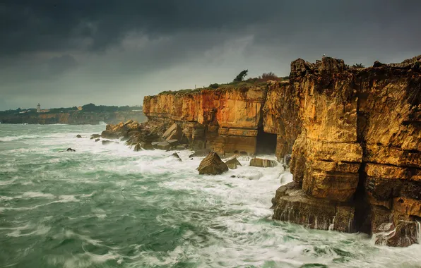Picture sea, storm, rocks, coast