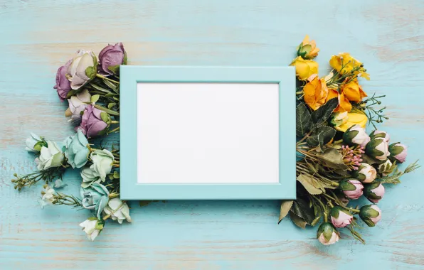Flowers, background, frame, colorful, wood, flowers, bright