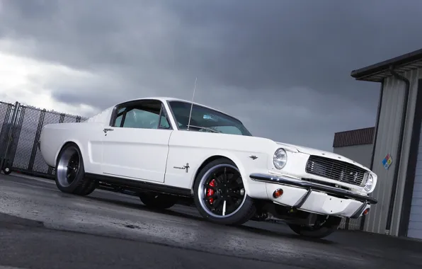 Picture Mustang, Ford, 1965, Fastback, Wheels, RB3C, Forgeline