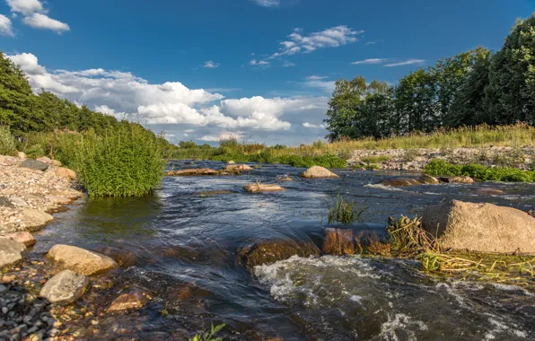 Greens, summer, the sky, grass, the sun, clouds, trees, stream