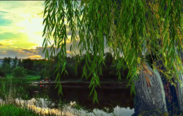 Summer, river, the fire, dawn