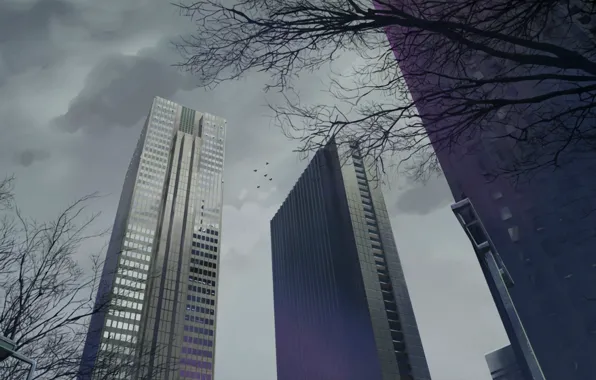 Trees, skyscrapers, cloudy sky