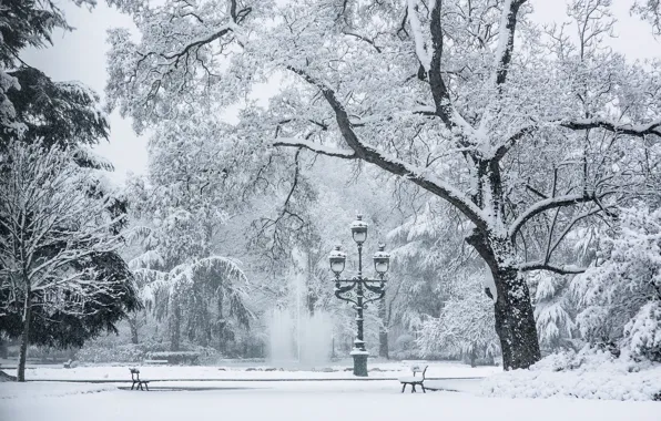 Picture cold, winter, snow, trees, bench, lamp, area, fountain
