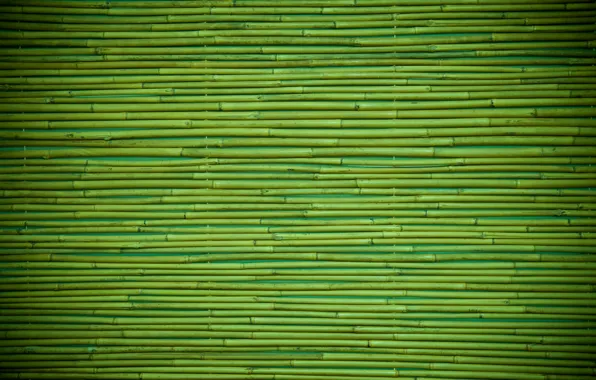 Picture green, wood, pattern, bamboo