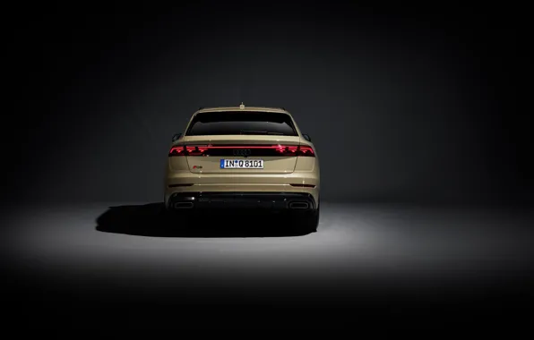 Audi, rear, Q8, Audi Q8 2024