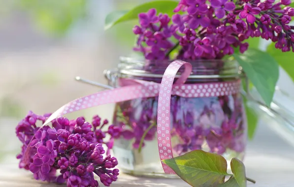 Flowers, spring, Bank, lilac, lilac
