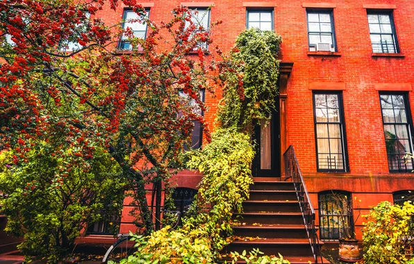 Autumn, bike, tree, New York, Brooklyn, the sidewalk, United States, brown