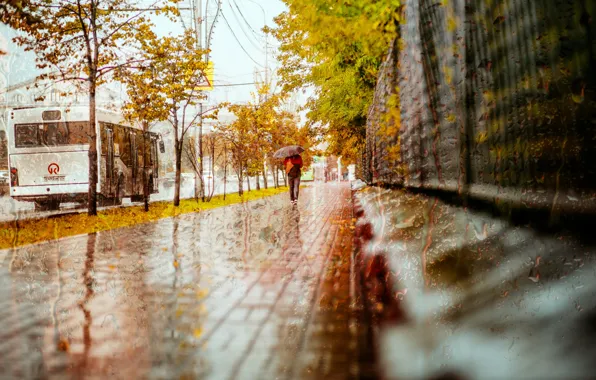Autumn, the city, rain, street, people, umbrella, bus, the sidewalk