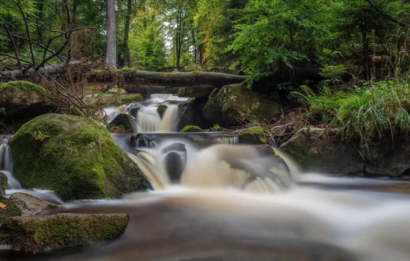Forest, river, stones, waterfall, moss, Germany, cascade, Germany
