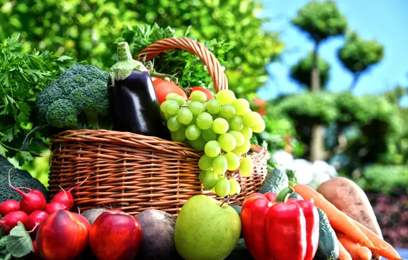 Greens, background, basket, Apple, grapes, eggplant, pepper, fruit