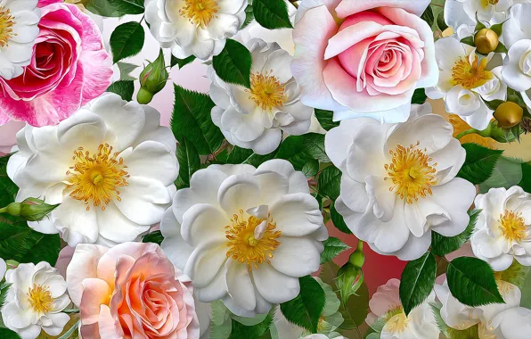 Graphics, flowers, roses, white