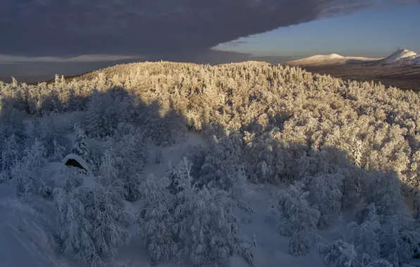 Winter, forest, snow, national Park, Taganay, Black rock