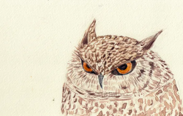 Wallpaper owl, bird, figure images for desktop, section живопись - download