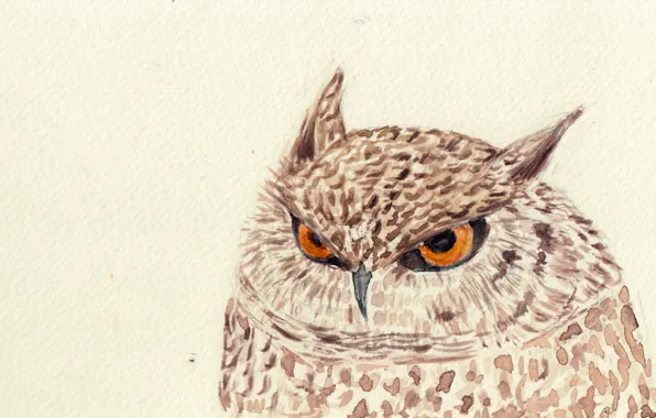 Picture owl, bird, figure