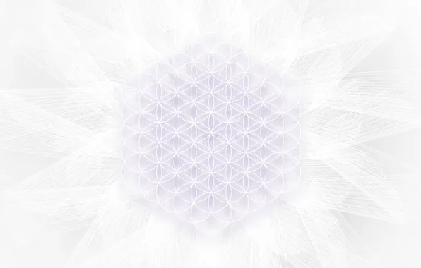 Abstraction, minimalism, minimal, sacred geometry, the flower of life, sacred geometry