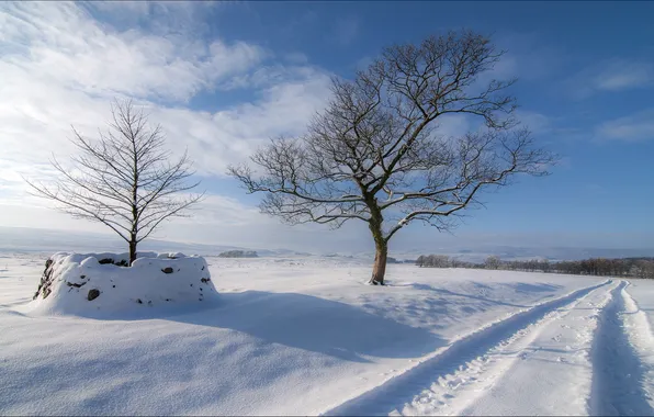 Winter, road, field
