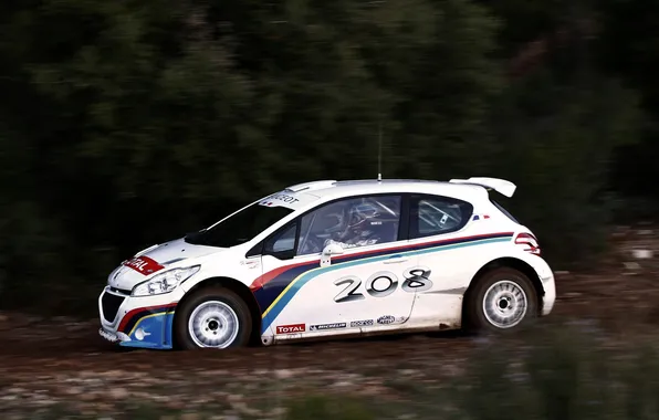 Auto, White, Speed, Peugeot, Rally, Rally, 208