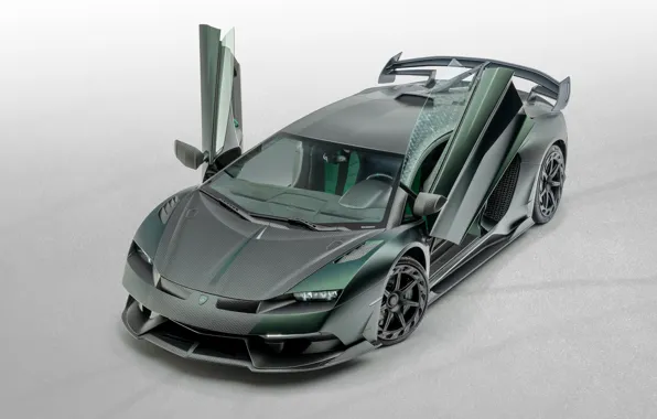 Lamborghini, door, supercar, Aventador, Mansory, 2020, SVJ, Cabrera