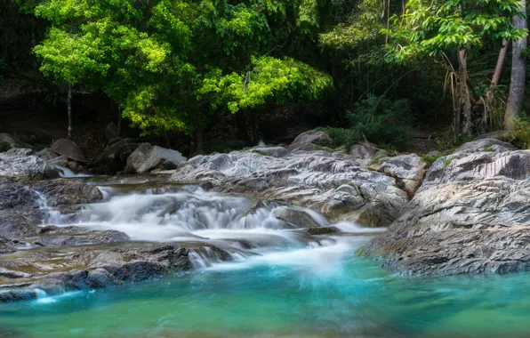 Picture forest, landscape, river, rocks, waterfall, summer, forest, tropical