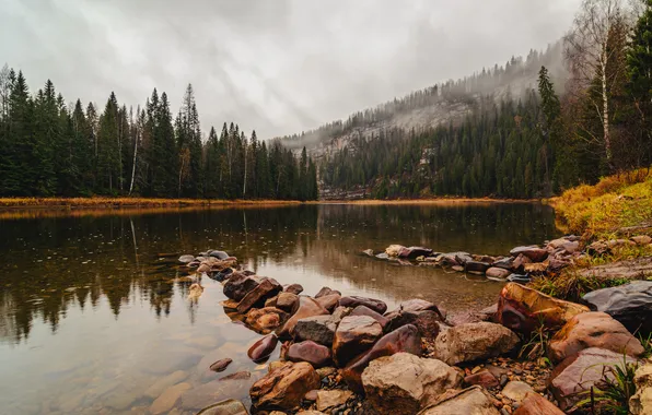 Picture trees, stones, horizon, pond, Usva pillars, Nabokov Andrey