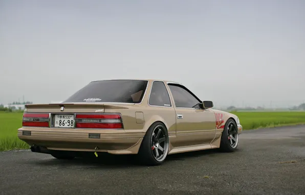 Picture Grass, Airport, Toyota, Toyota, Soarer, N-Style’s Z20, Soarer