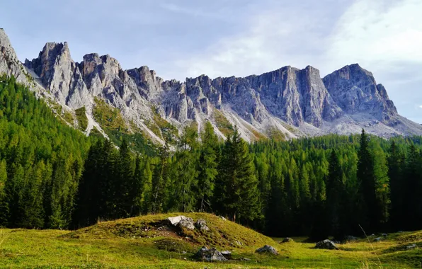 Forest, the sky, clouds, trees, mountains, nature, rocks, Italy