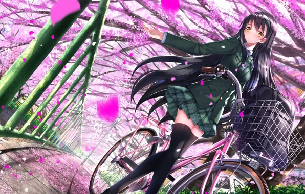 Girl, trees, bike, anime, petals, Sakura, art, form
