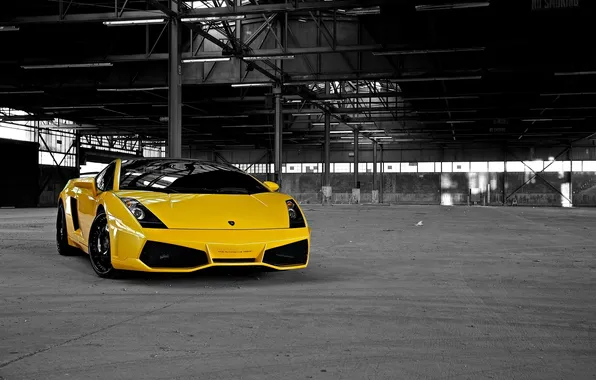 Picture photo, cars, auto, Lamborghini Gallardo