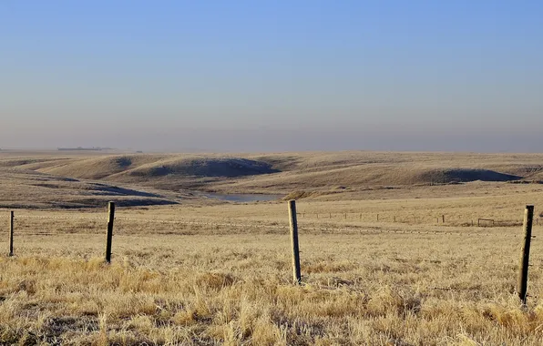Field, landscape, the fence