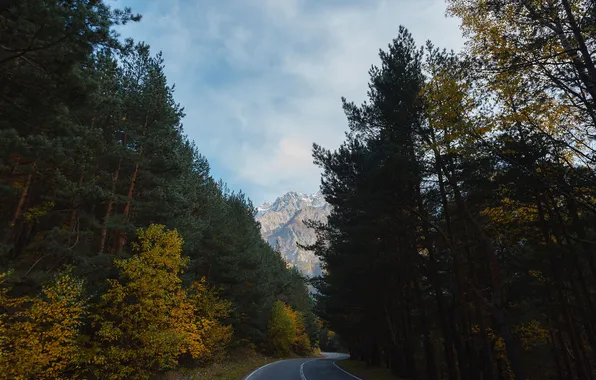 Picture landscape, nature, Batraz Tabuev, The road to the mountains