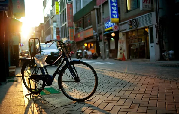 The sun, rays, bike, the city, street, road, home, morning