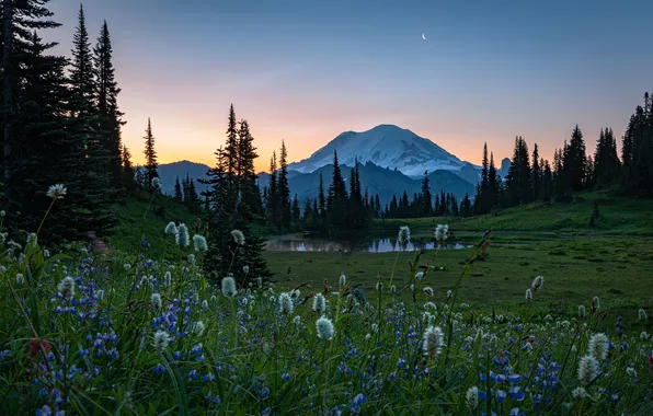Field, flowers, mountains, lake, a month, meadow, twilight