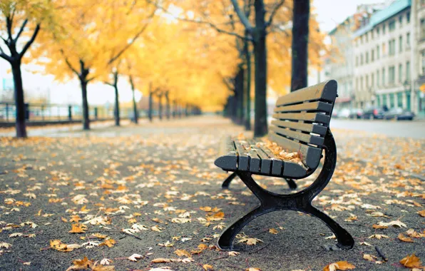 Picture autumn, leaves, trees, Park, yellow, shop, Canada, Montreal