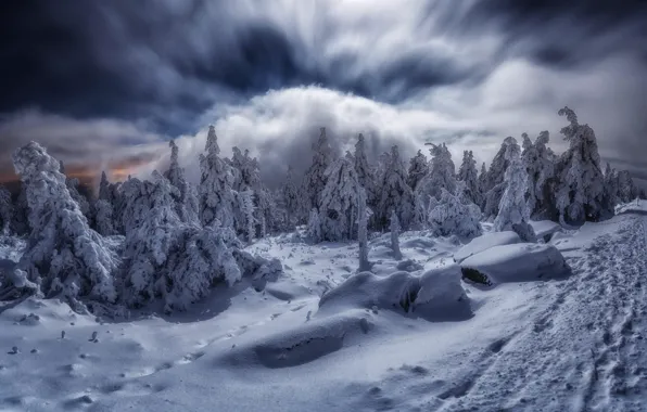 Picture winter, clouds, snow, trees, landscape, mountains, nature, Germany