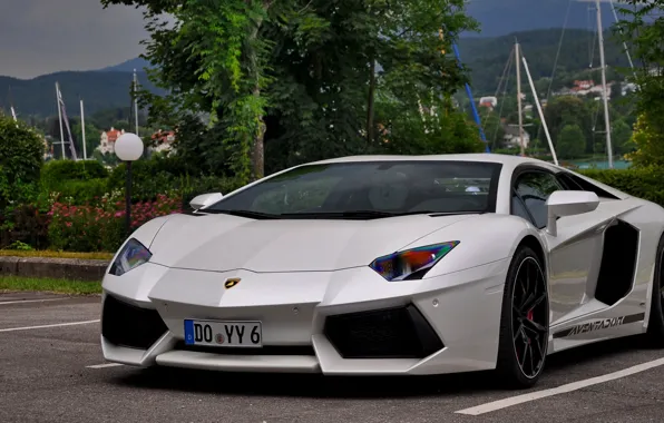 Lamborghini, White, Aventador, Parking