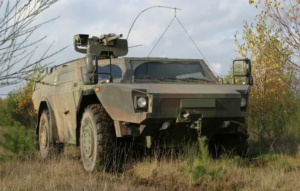 Weapon, armored, military vehicle, armored vehicle, armed forces, military power, war materiel, 098