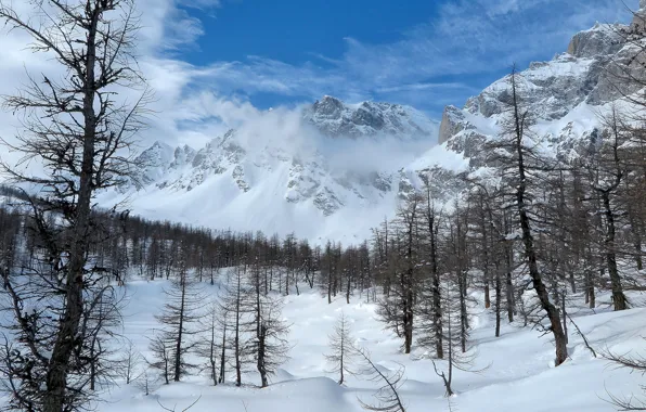 Picture winter, the sky, snow, trees, landscape, mountains
