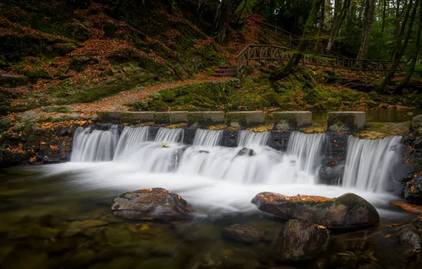 Autumn, forest, stones, waterfall