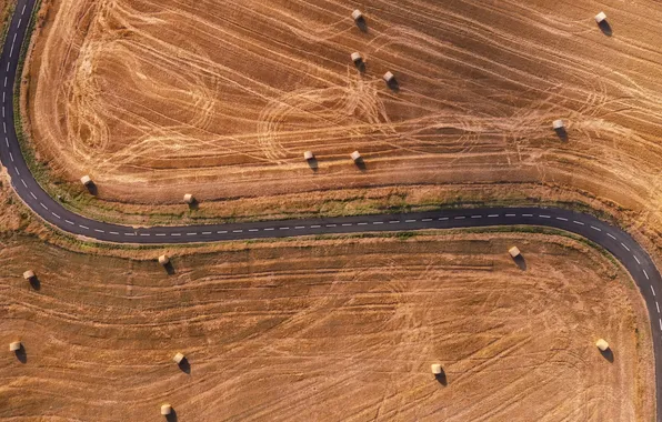Road, field, hay