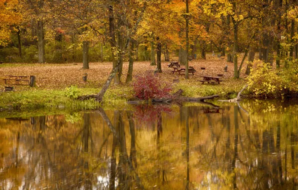 Picture autumn, trees, lake, pond, Park, table, bench