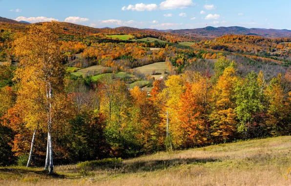 Picture field, autumn, forest, the sun, trees, hills, USA, Vermont