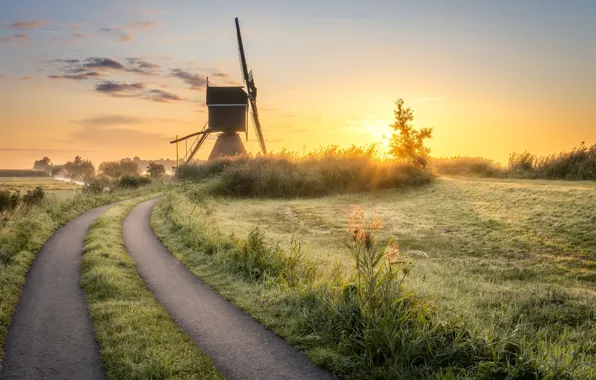 Picture road, fog, morning, mill