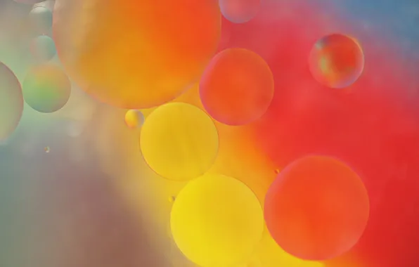 Water, bubbles, paint, oil