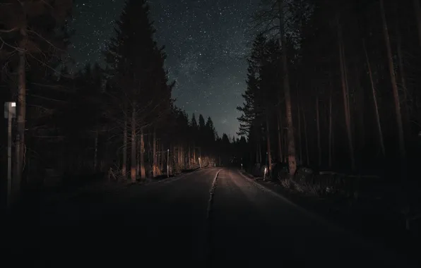 Road, forest, the sky, light, trees, night, stars, pine
